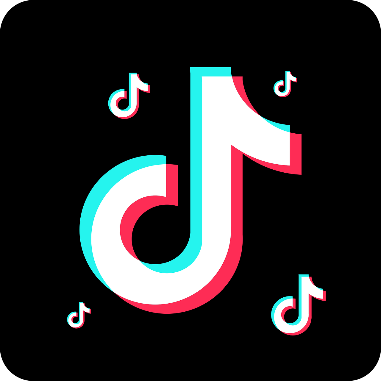 TikTok 粉丝