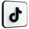 TikTok Icon