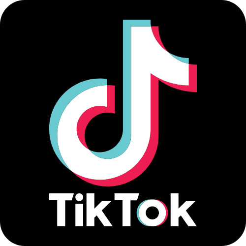 TIKTOK FOLLOWERS