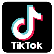 ♛ TikTok: Fans / Followers [ Targeted ]