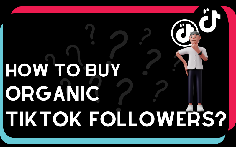 How To Buy TikTok Organic TikTok Followers - SmmUnited