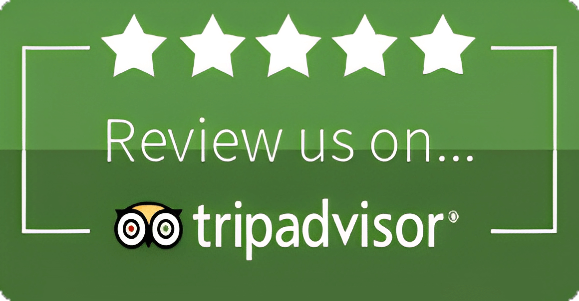 buy tripadvisor reviews