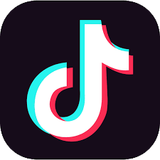 TikTok Followers