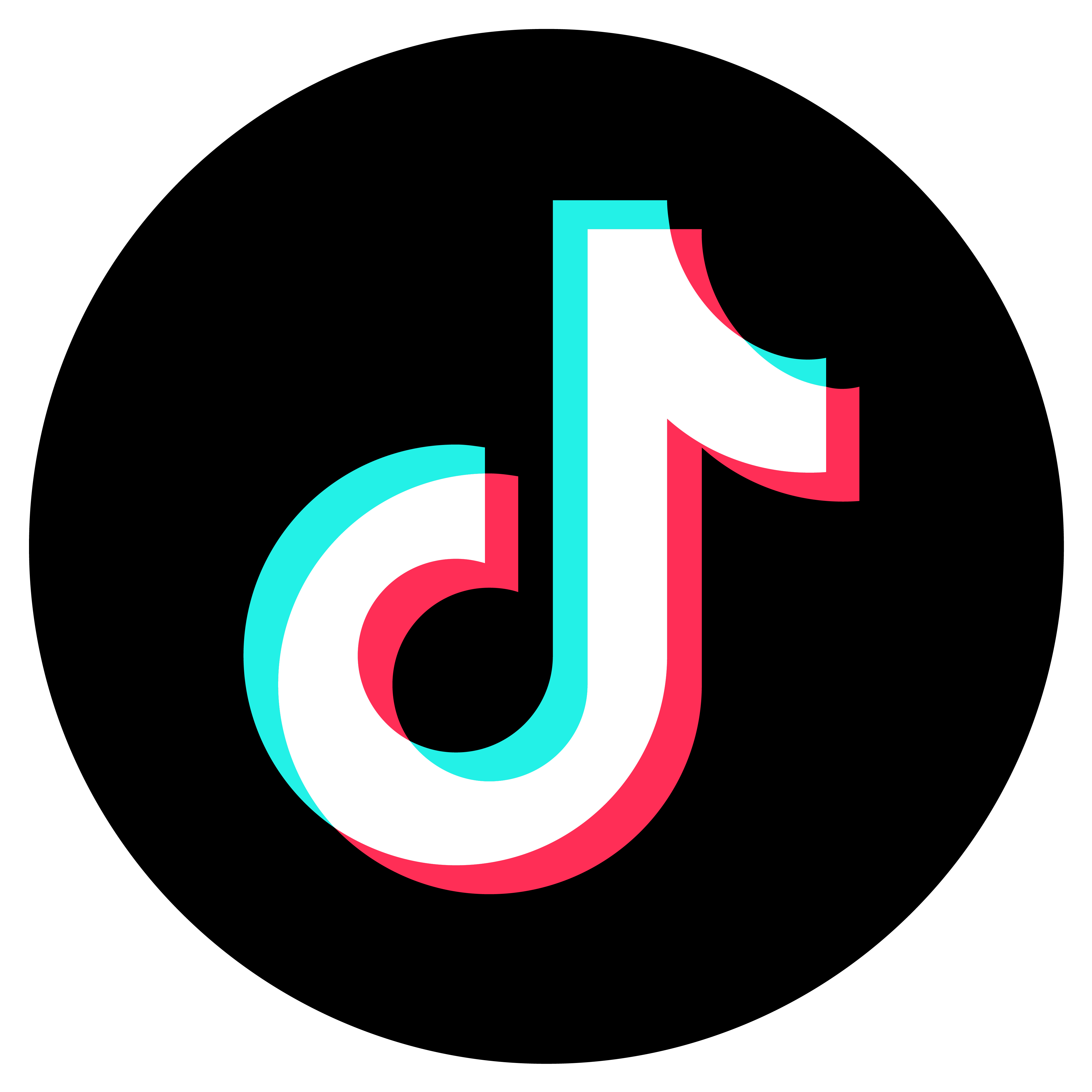 TikTok Followers