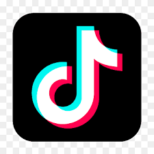 🚫 TikTok Report