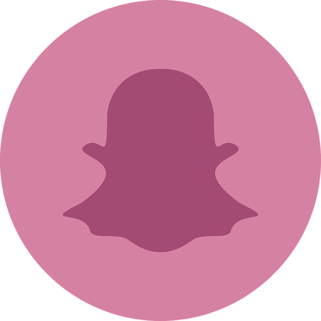 White ghost logo of Snapchat with outstretched arms on a purple square background with rounded corners.