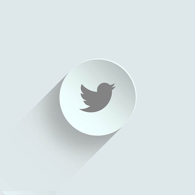 A circular, gray Twitter logo icon with a bird silhouette centered inside, casting a long shadow to the left and slightly downward on a light gray background.